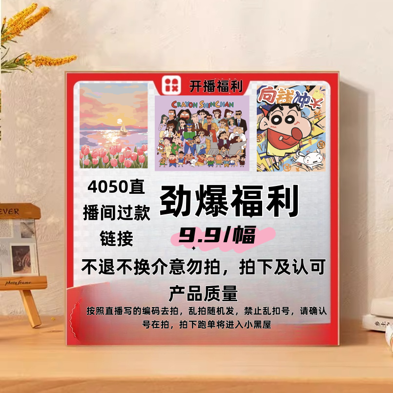 DIY数字油画云启开播福利40*50cm直播间过款链接