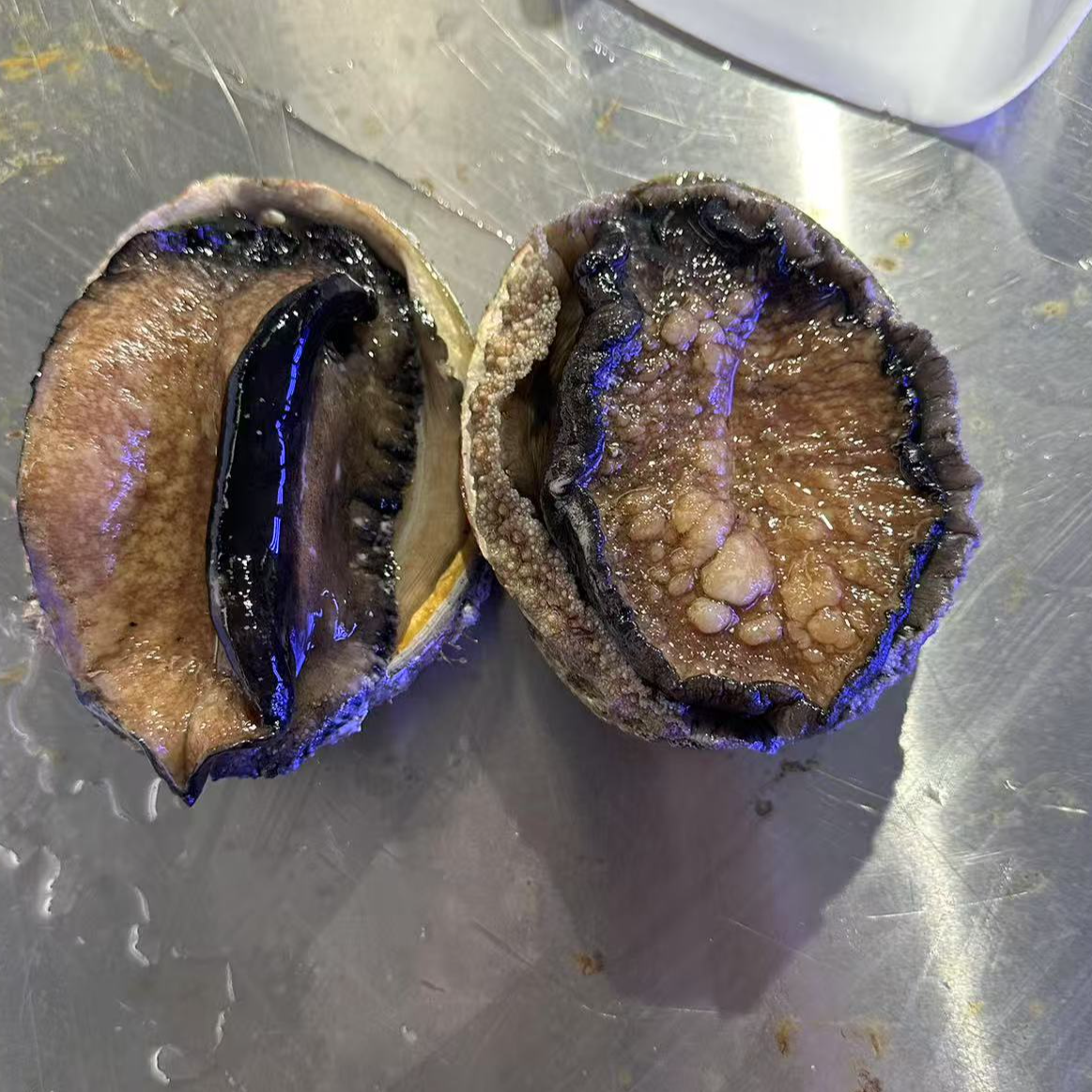 【压冰发货】一口气澳大利亚鲍鱼澳鲍 压冰发货 默认缺水5%