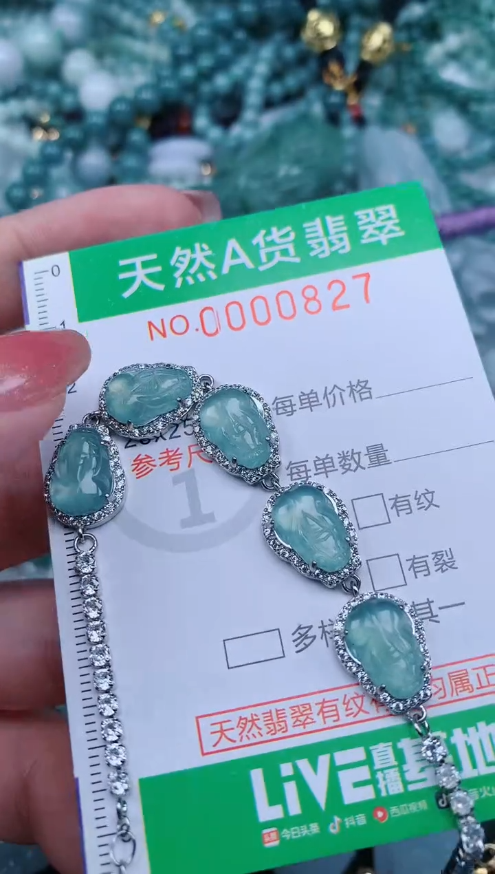 【闪购商品】翡翠颈饰未镶嵌.0000827