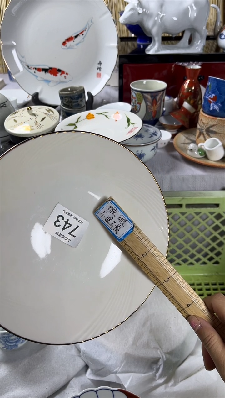 【闪购商品】碟               743