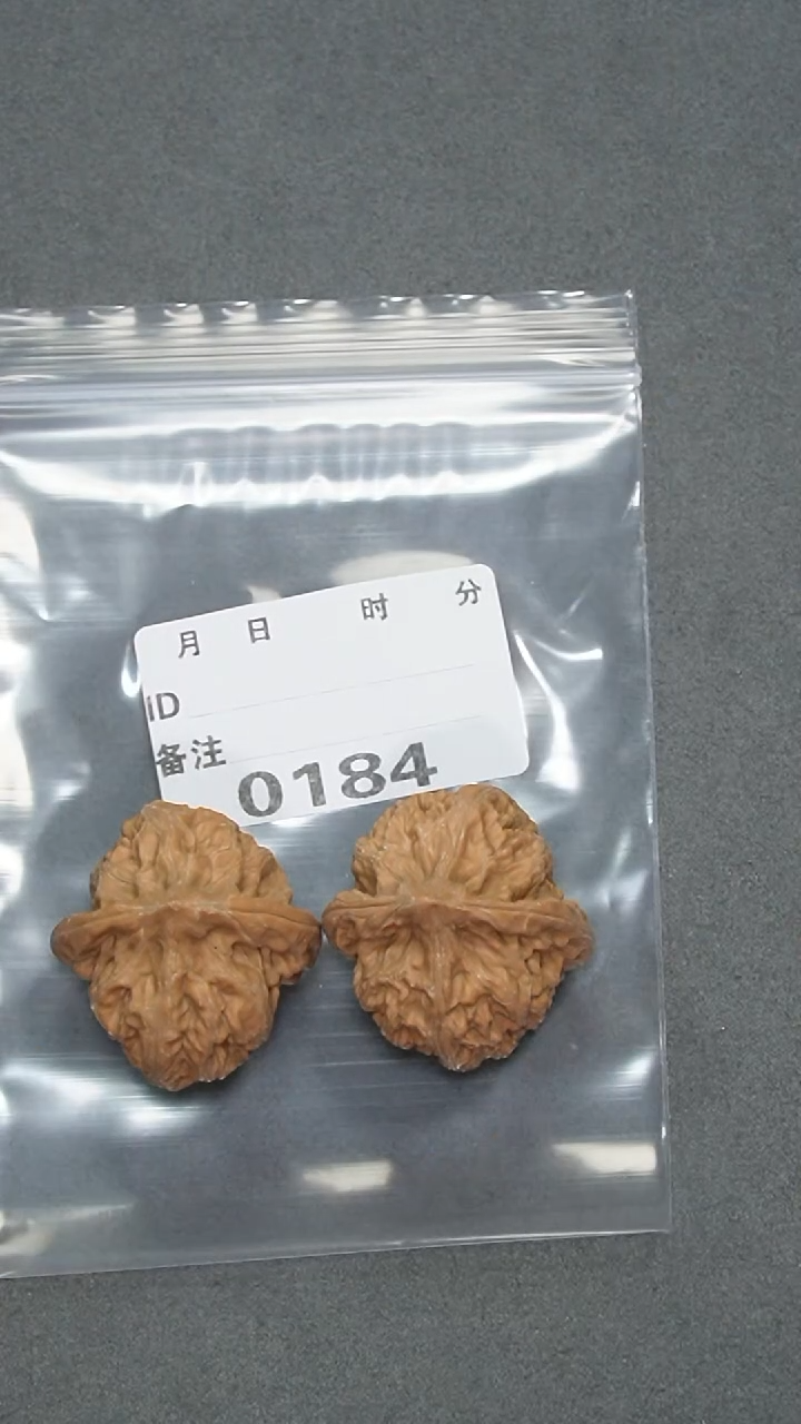 【闪购商品】文玩核桃把件35承德粗筋