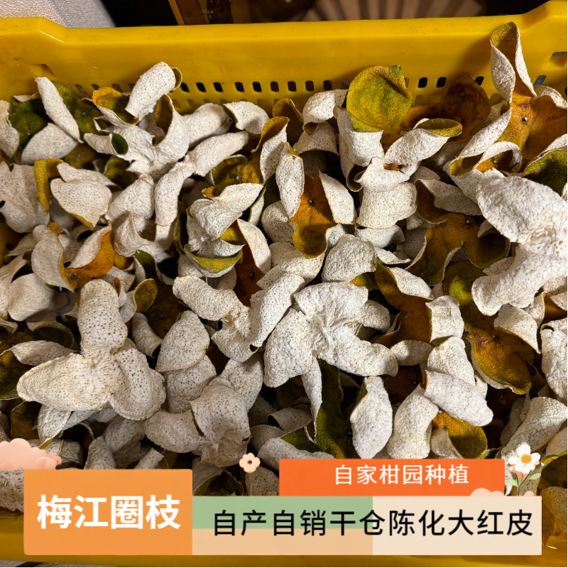 2024年 梅江圈枝 新会陈皮 自家柑园种植 自产自销干仓陈化大红皮