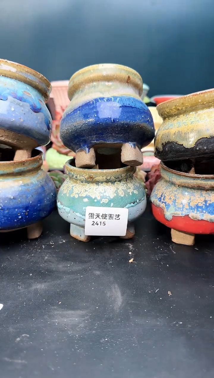 2  415  盆   6个 默认微瑕