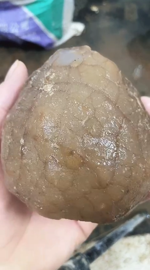 定制玛瑙自*原石803061