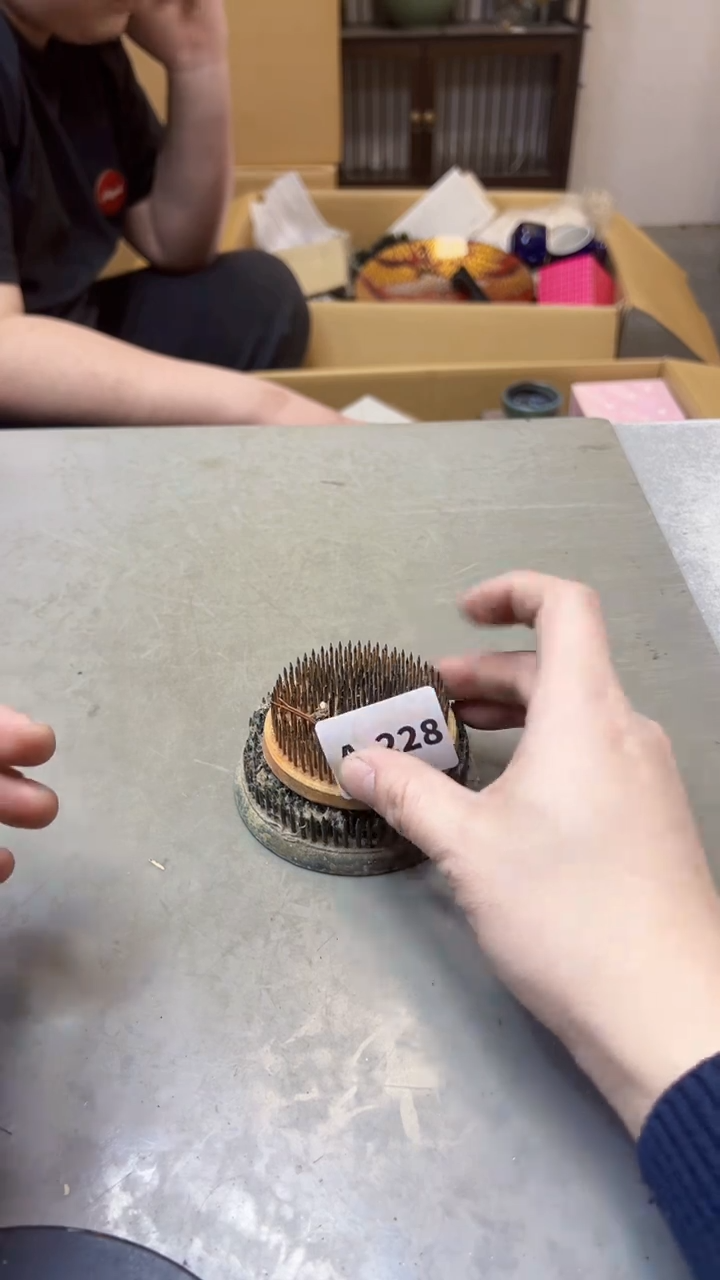 【闪购商品】瓷片228聚宝缘海淘精选