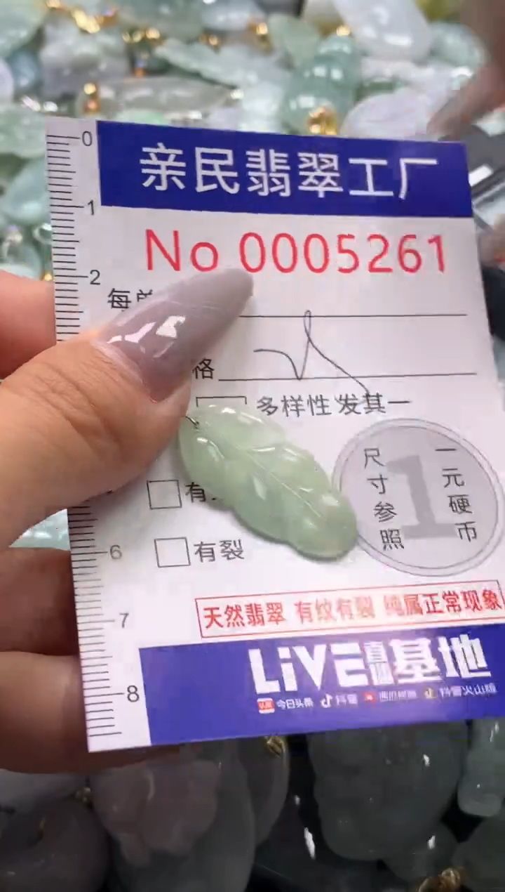 颈饰未镶嵌翡翠5261