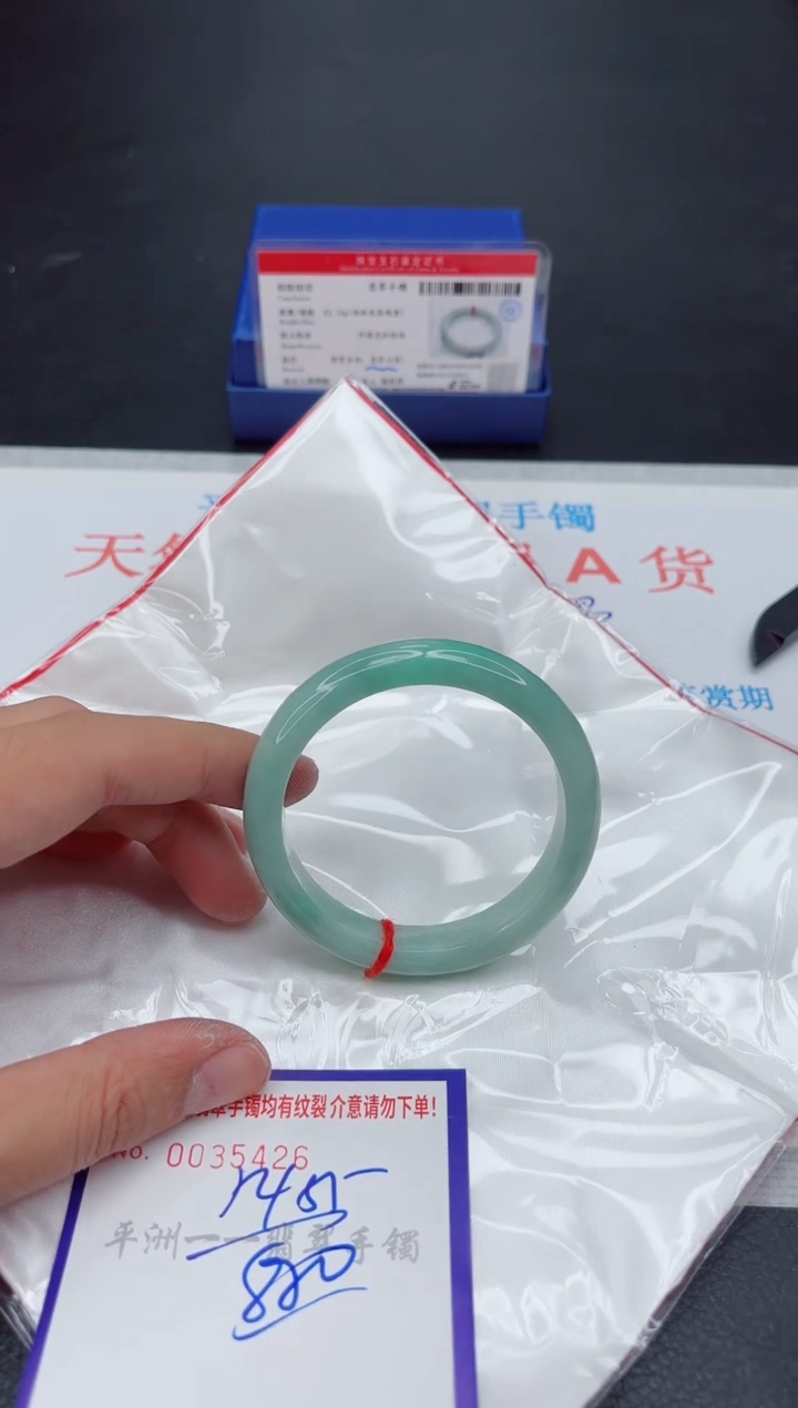 未镶嵌手镯翡翠1