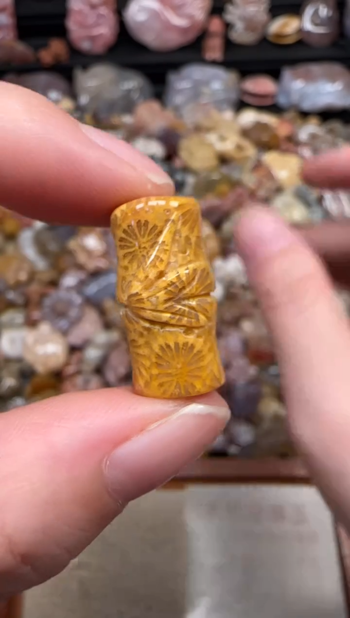 颈饰未镶嵌硅化珊瑚（珊瑚玉）552