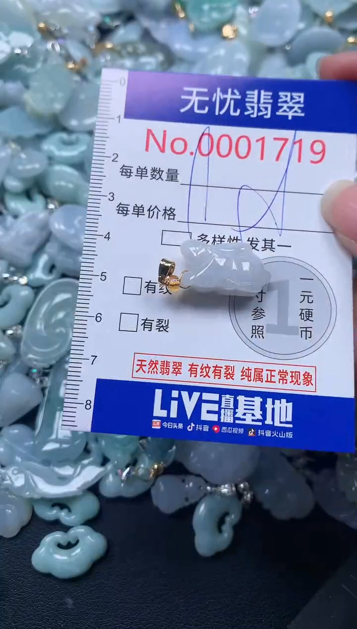 颈饰未镶嵌翡翠1719