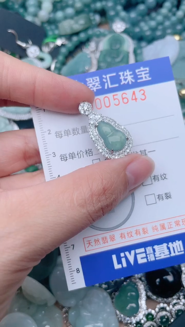 翡翠未镶嵌颈饰5643.....1