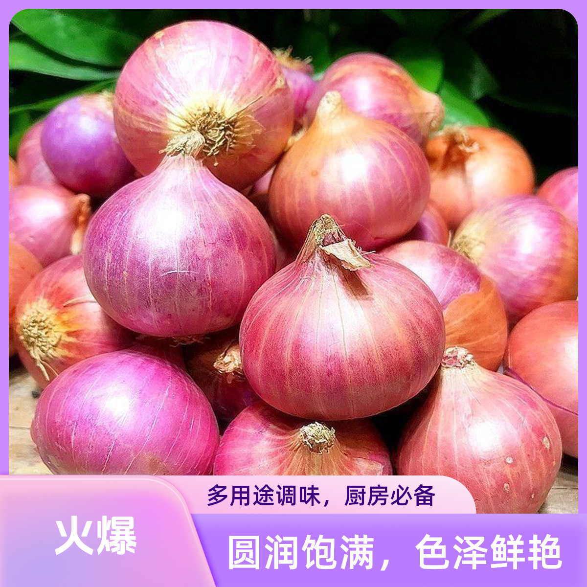 正宗东北小毛3斤5斤葱紫皮毛葱头生吃微辣甘甜新鲜现挖健康美味