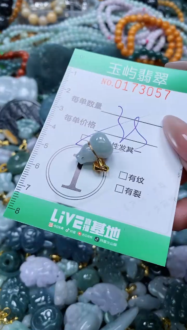 翡翠未镶嵌颈饰闪购0173057多样性发其一