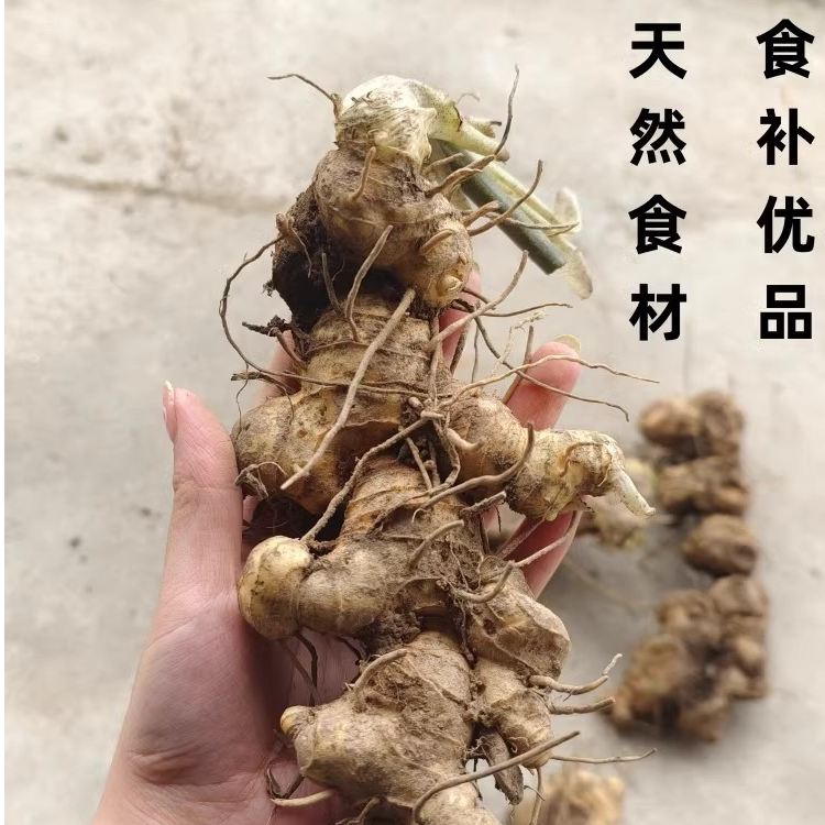 黄精可煲汤可九蒸九晒黄精