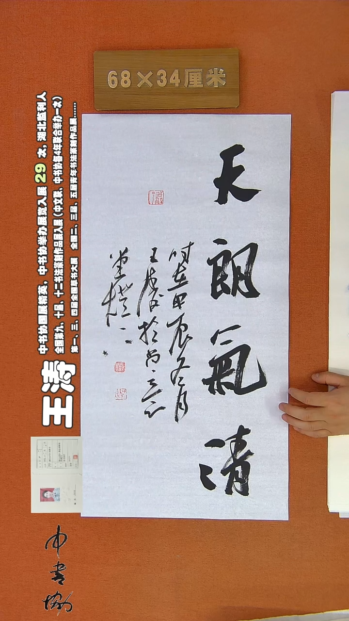 【闪购商品】书法722王涛书法作品