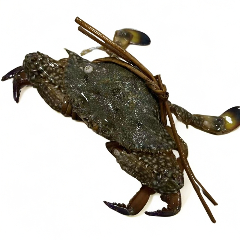 【睡着兰母蟹】【保鲜不保活】每只1两以上有断脚介意不拍按斤发