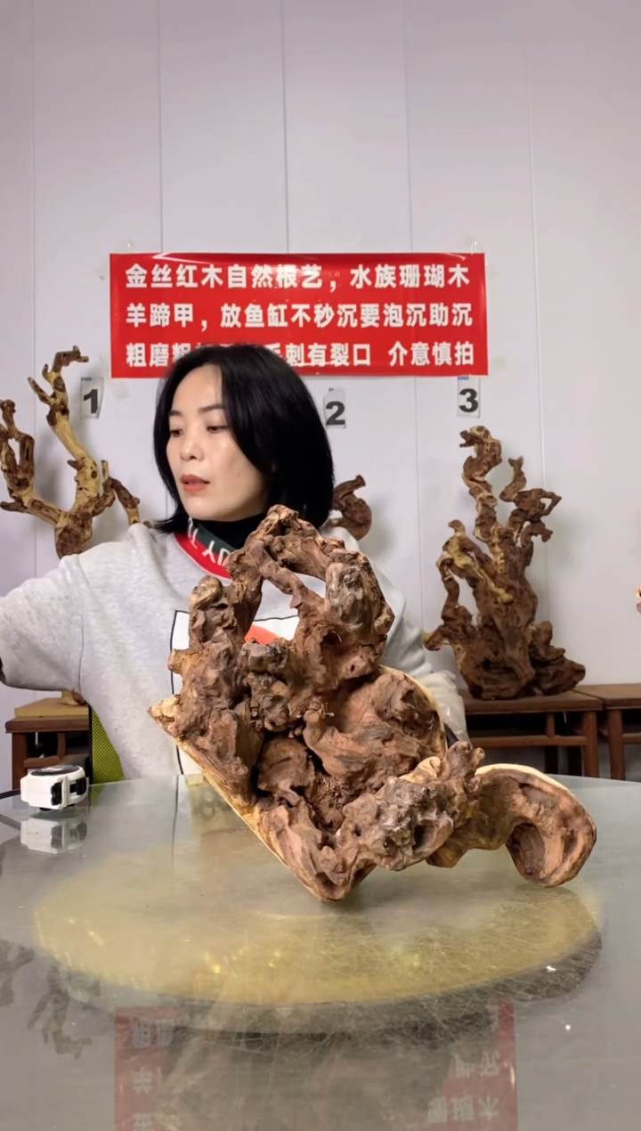 【闪购商品】木26金丝红木 羊蹄甲 