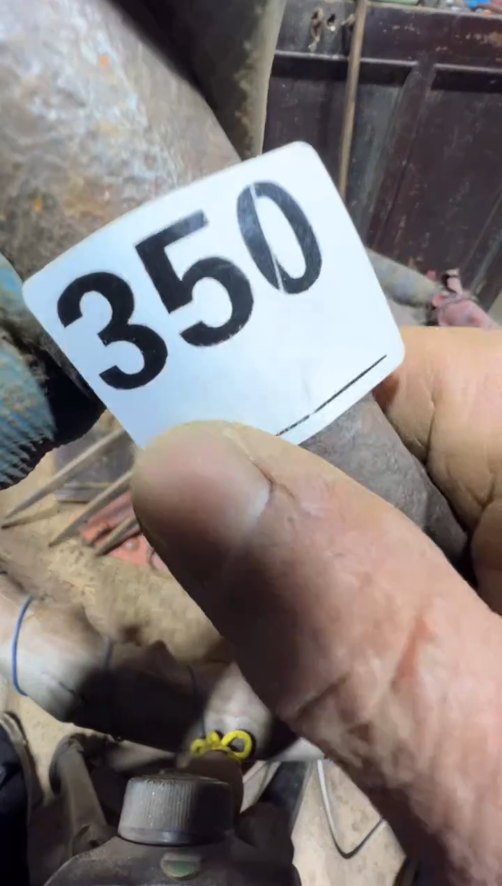 B**.08180老王直播间专属链接