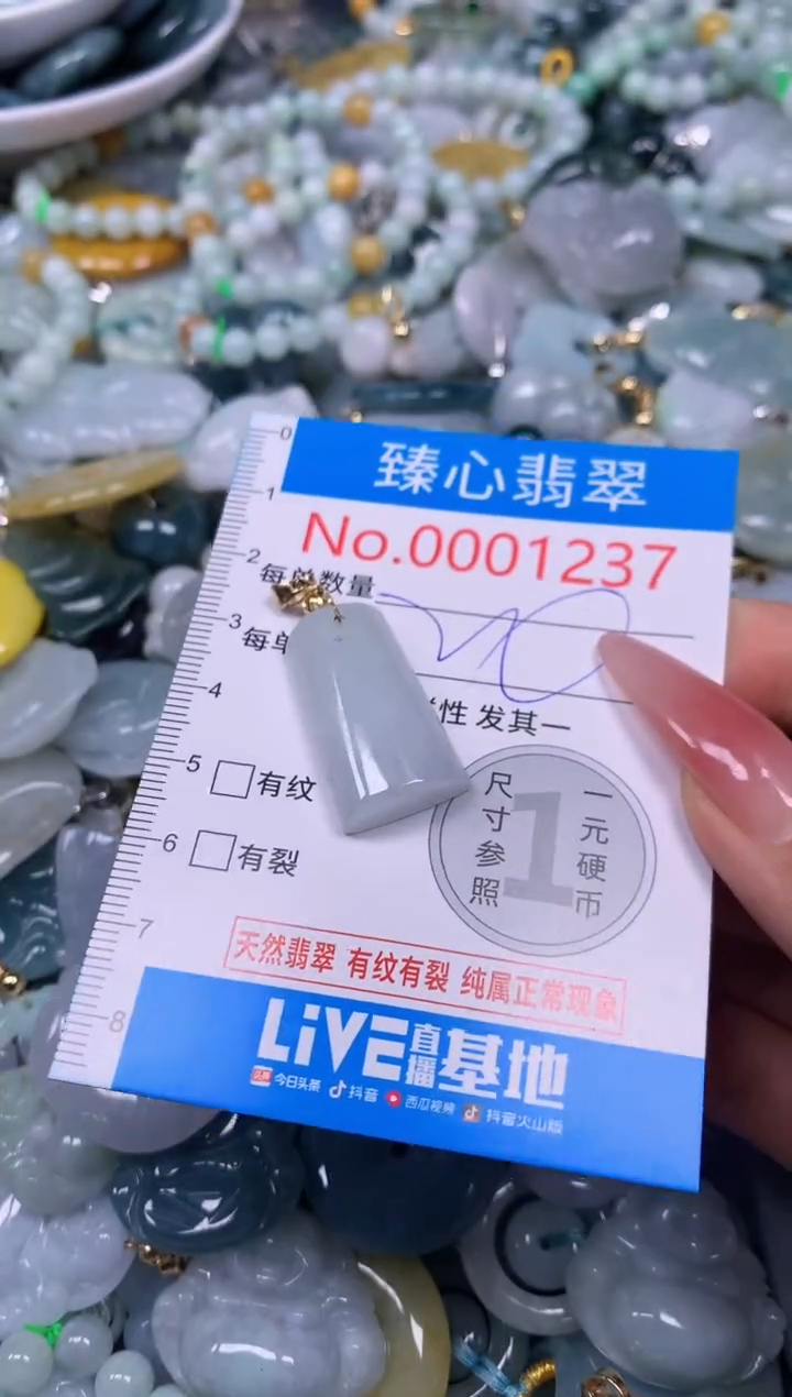 【闪购商品】翡翠颈饰未镶嵌含绳0001237