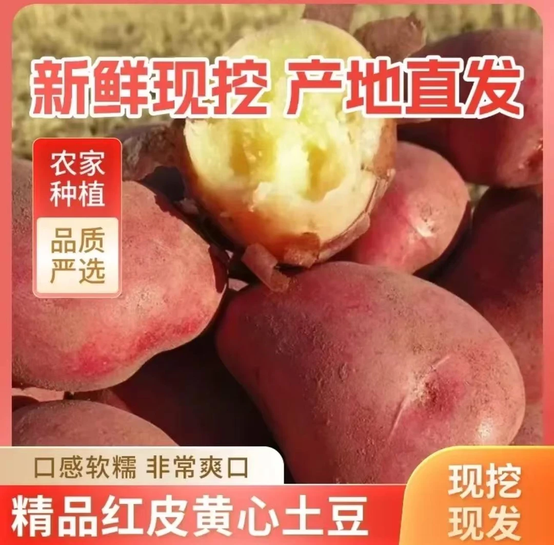 【带箱9-10斤】云南高原红皮黄心土豆新鲜现挖软糯香甜农家自种