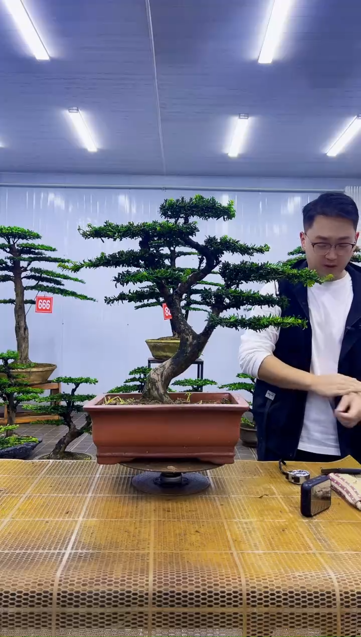 无花朵通****己00000000000