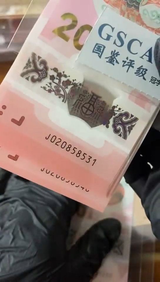【闪购商品】蛇钞 标十 020858531