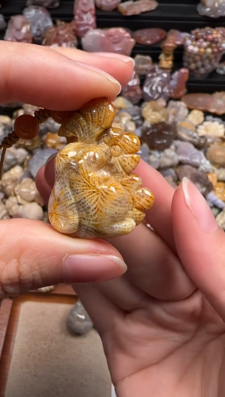 【闪购商品】硅化珊瑚（珊瑚玉）颈饰未镶嵌610