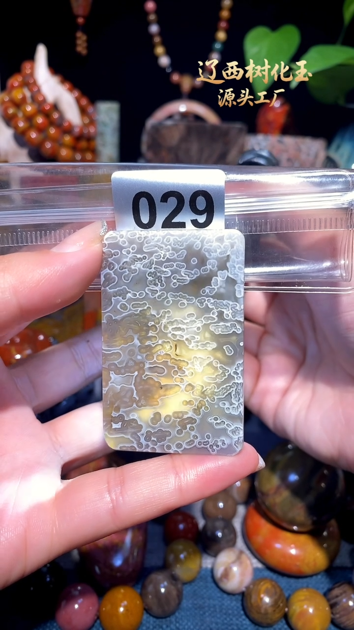 未镶嵌-硅化玉天然北票硅化玉吊坠