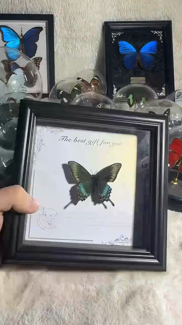 有机玻璃小绿带  