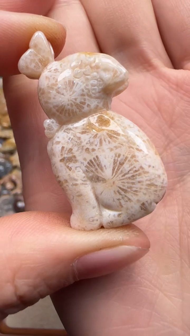 【闪购商品】硅化珊瑚（珊瑚玉）颈饰未镶嵌055