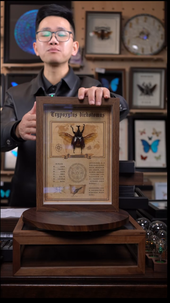 独角仙复古版A4复古框