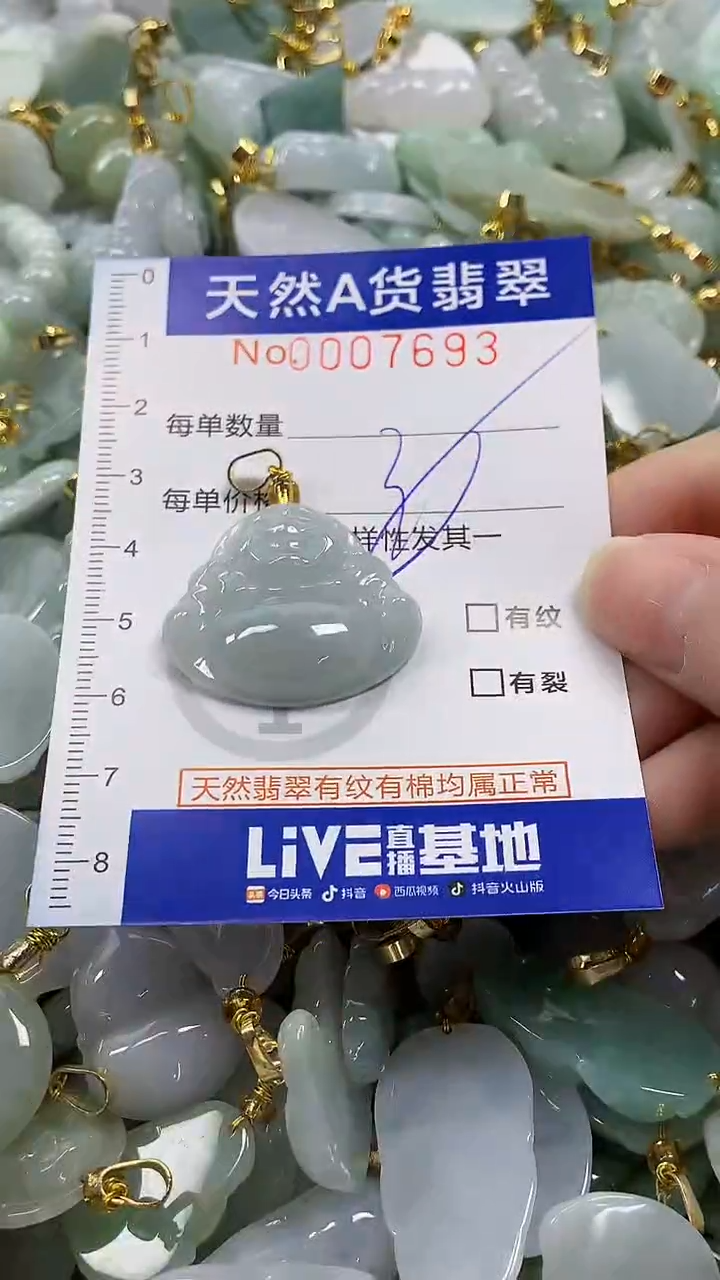 颈饰未镶嵌翡翠纯天然a货翡翠