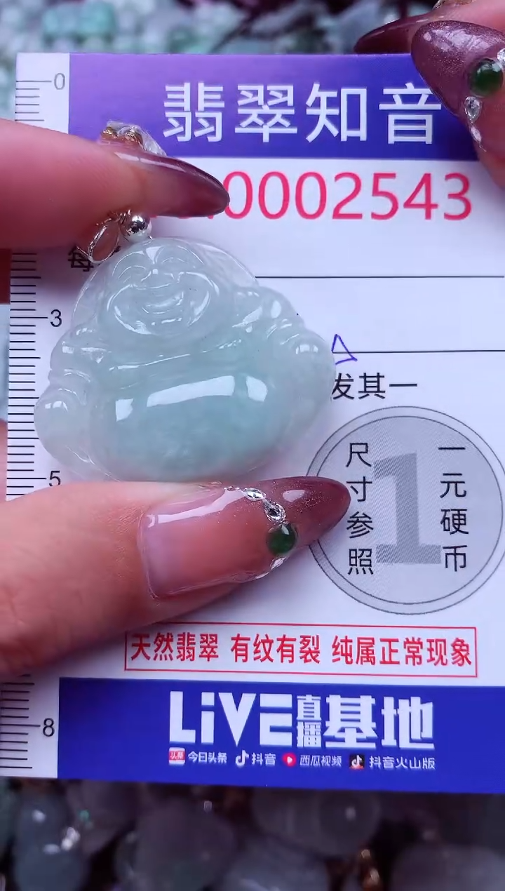 吊坠(不含链)未镶嵌翡翠2543