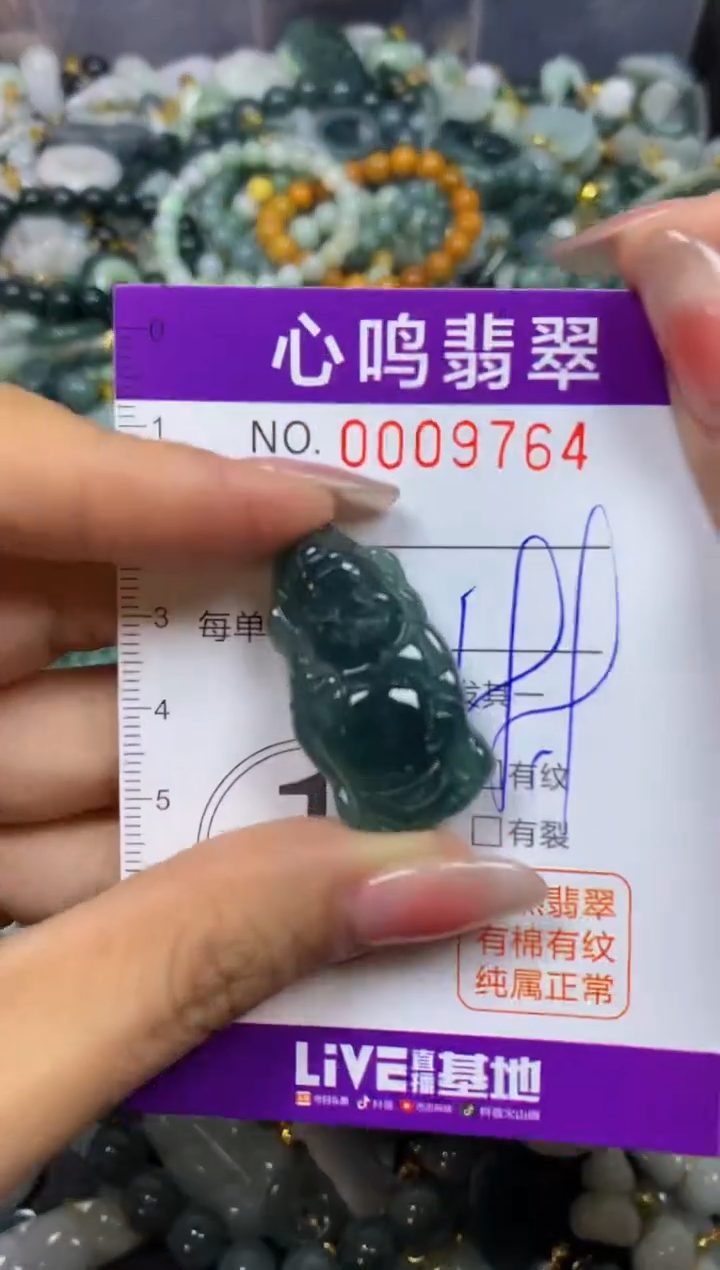 【闪购商品】翡翠颈饰未镶嵌闪购009764