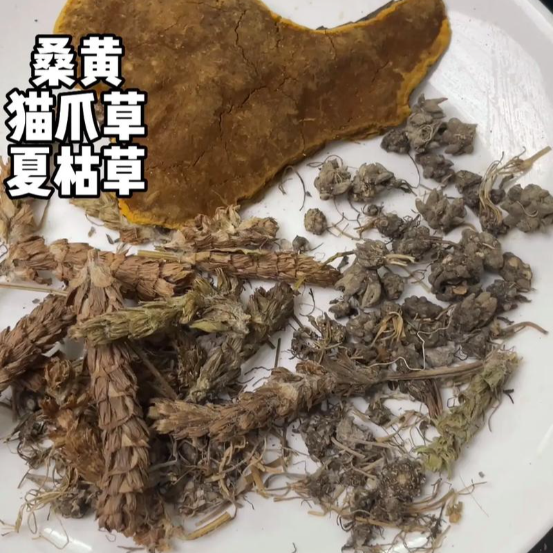 （防ai抗ai汤）桑黄桑树黄灵芝+猫爪草+夏枯草