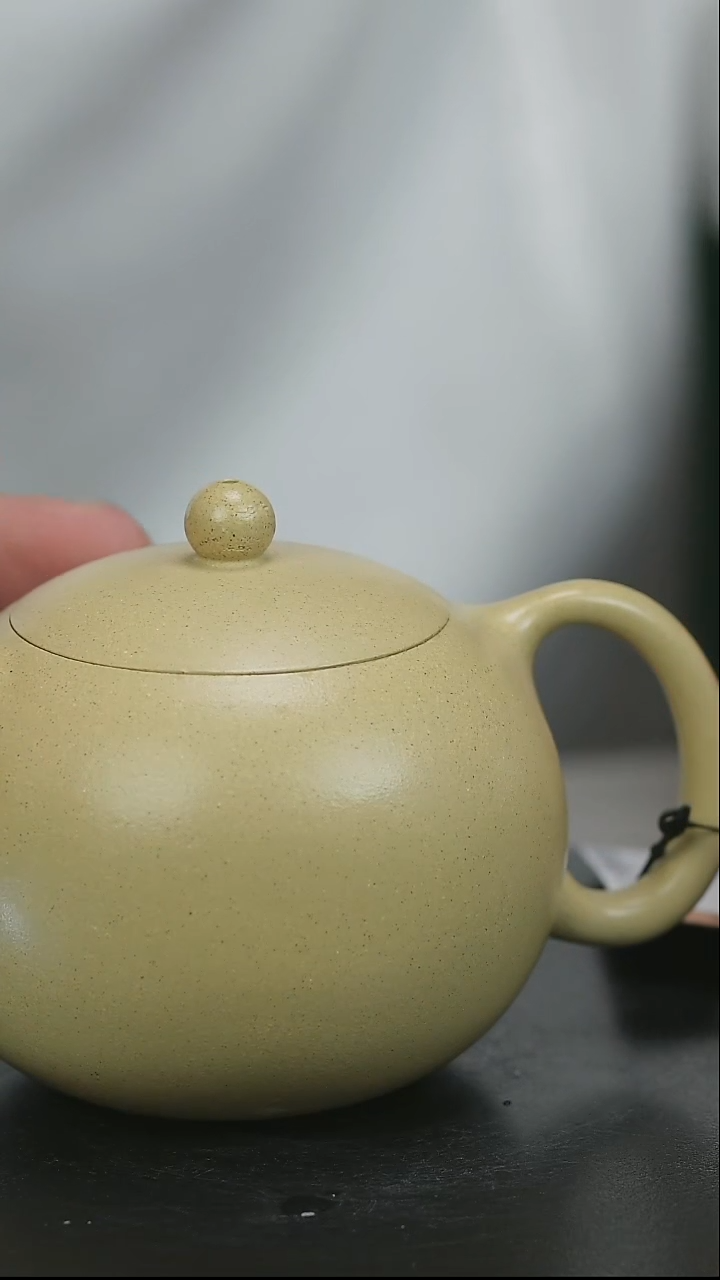 茶壶紫砂H1231范菊芳本绿西施