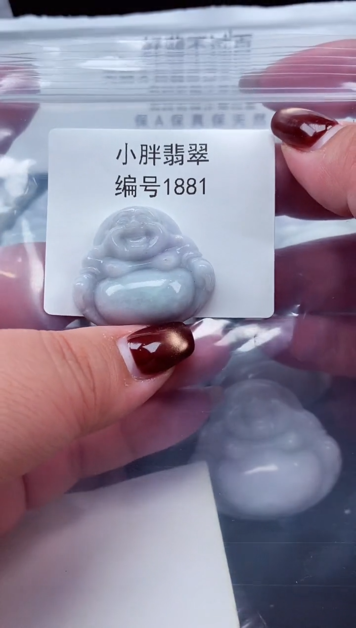 颈饰未镶嵌翡翠缅甸天然A货翡翠1881