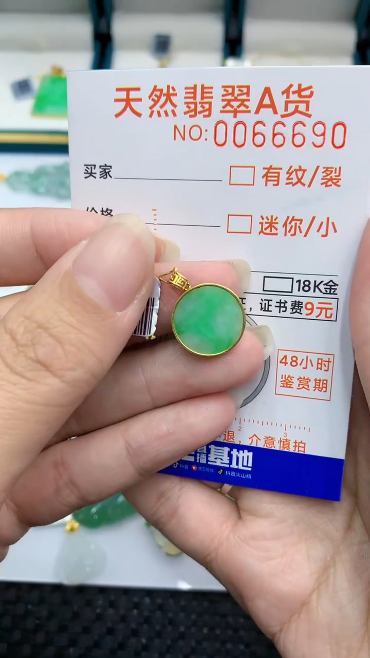 【闪购商品】翡翠颈饰18K金镶嵌            8