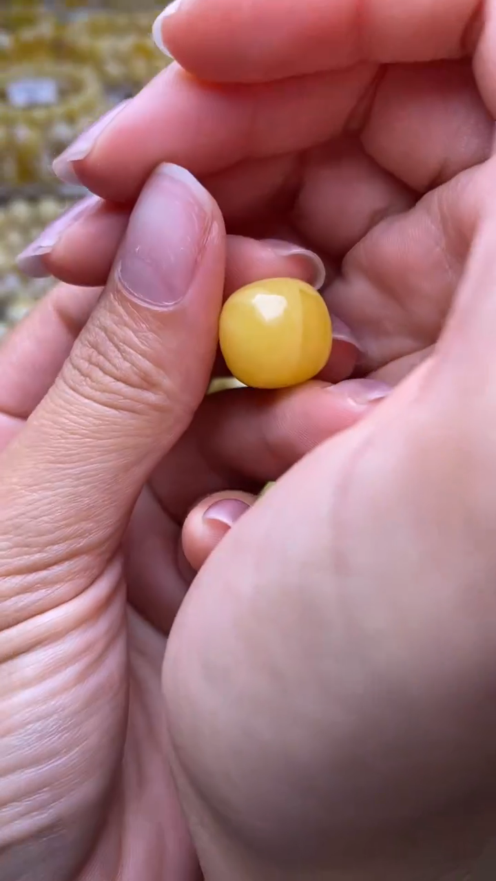 裸石蜜蜡未镶嵌葵.52