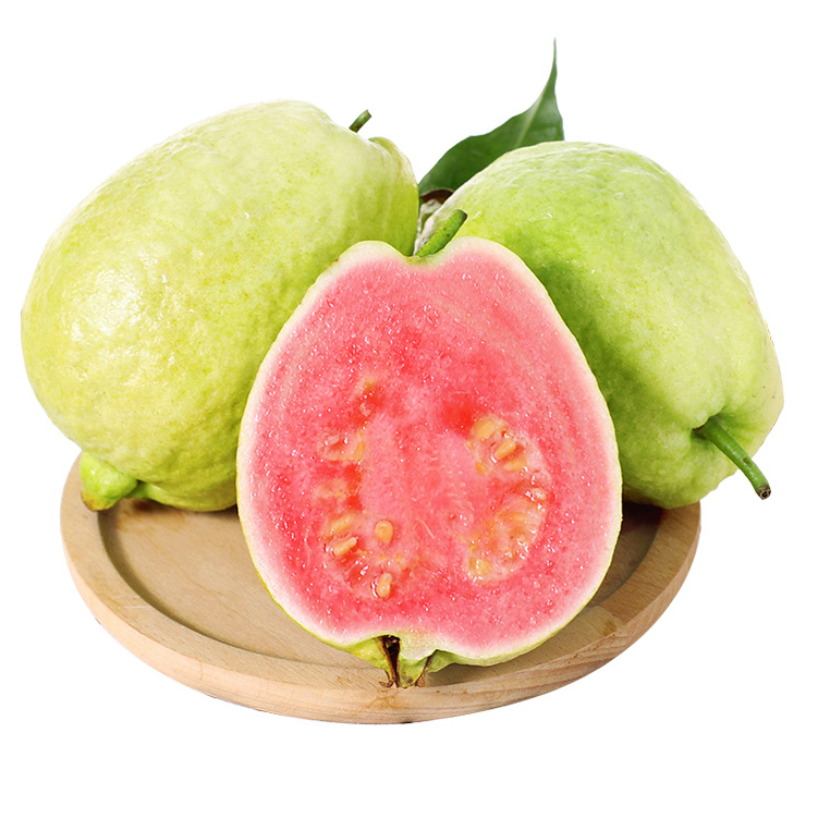 红心芭乐0.6-0.8斤/份（两个果）（硬的可以催熟或放软食用）福建省