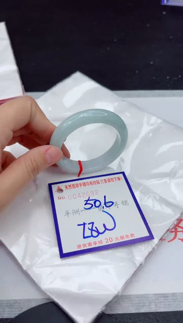 未镶嵌手镯翡翠11111111