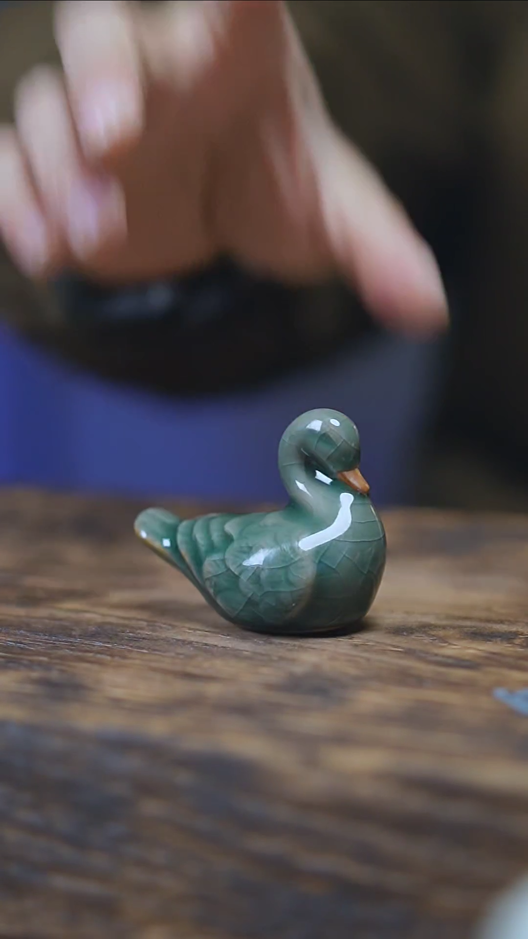 【闪购商品】小天鹅茶宠茶宠茶宠