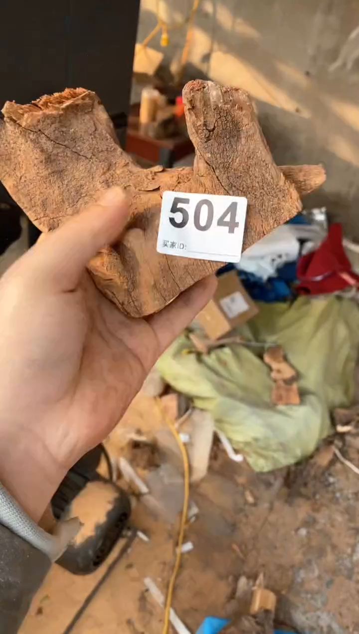 【闪购商品】柏木太行陈化崖柏（津诚林）切片