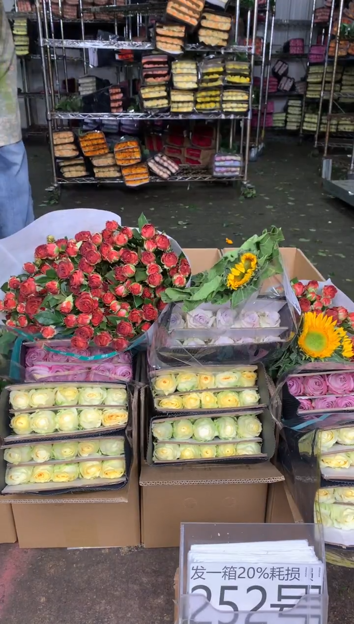 252号♥含20%耗损发一箱