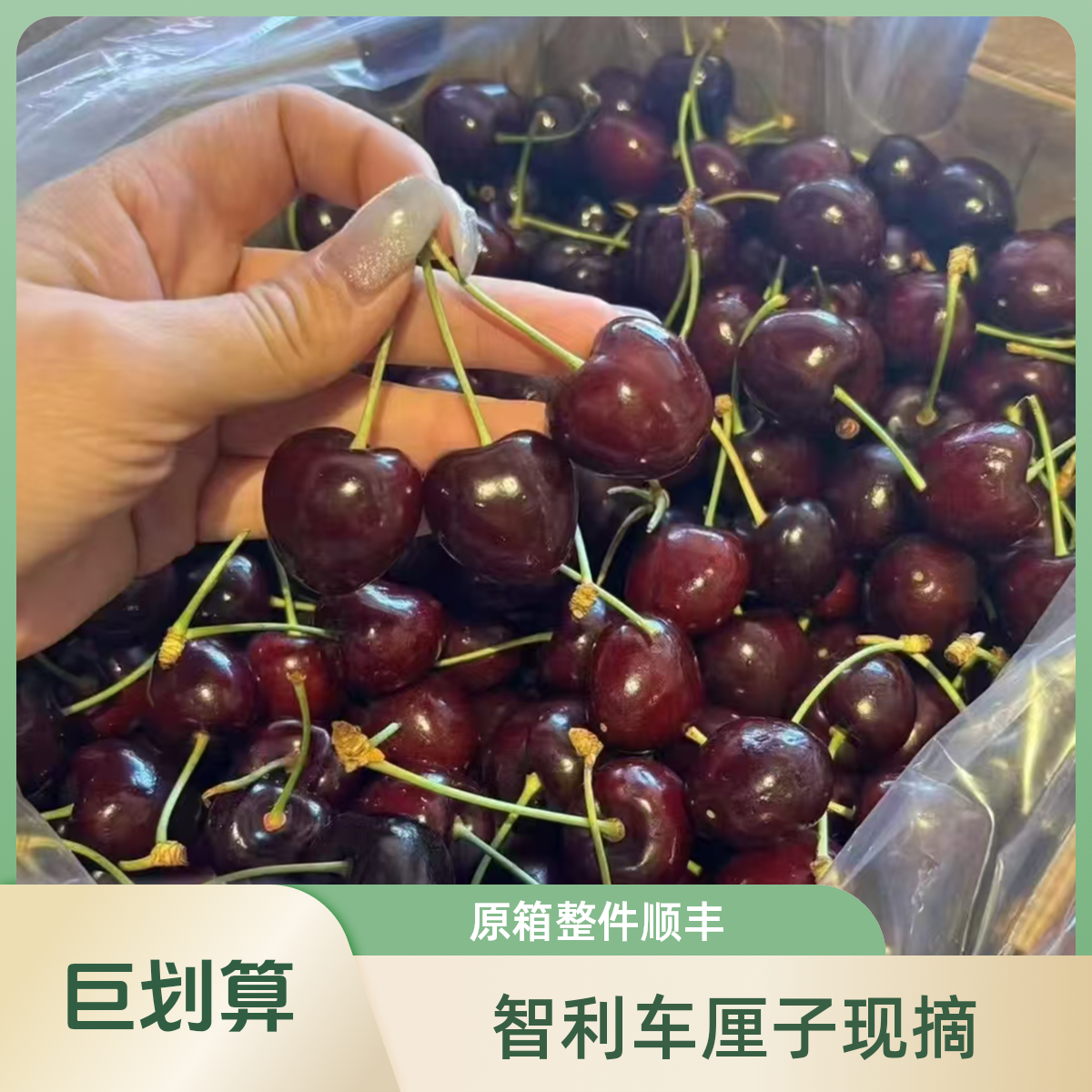 【2JD】智利空运 瑞吉娜 车厘子原箱整件/5斤 顺丰包邮骑手送货上楼  