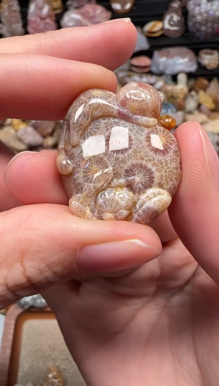 颈饰未镶嵌硅化珊瑚（珊瑚玉）889