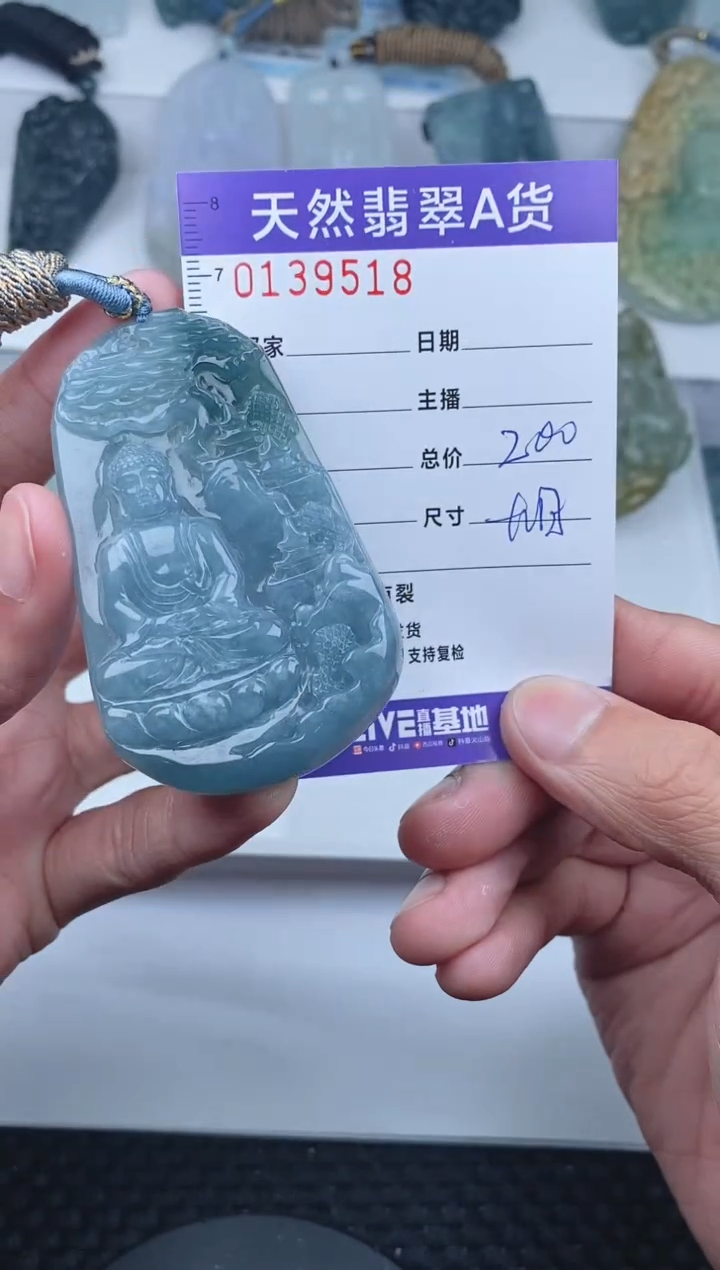 【闪购商品】翡翠颈饰未镶嵌       215
