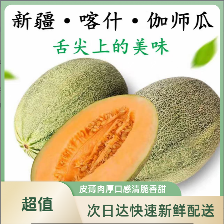 【次日达】正宗新疆头茬伽师瓜哈密瓜之王 净重7-8斤新疆维吾尔自治区