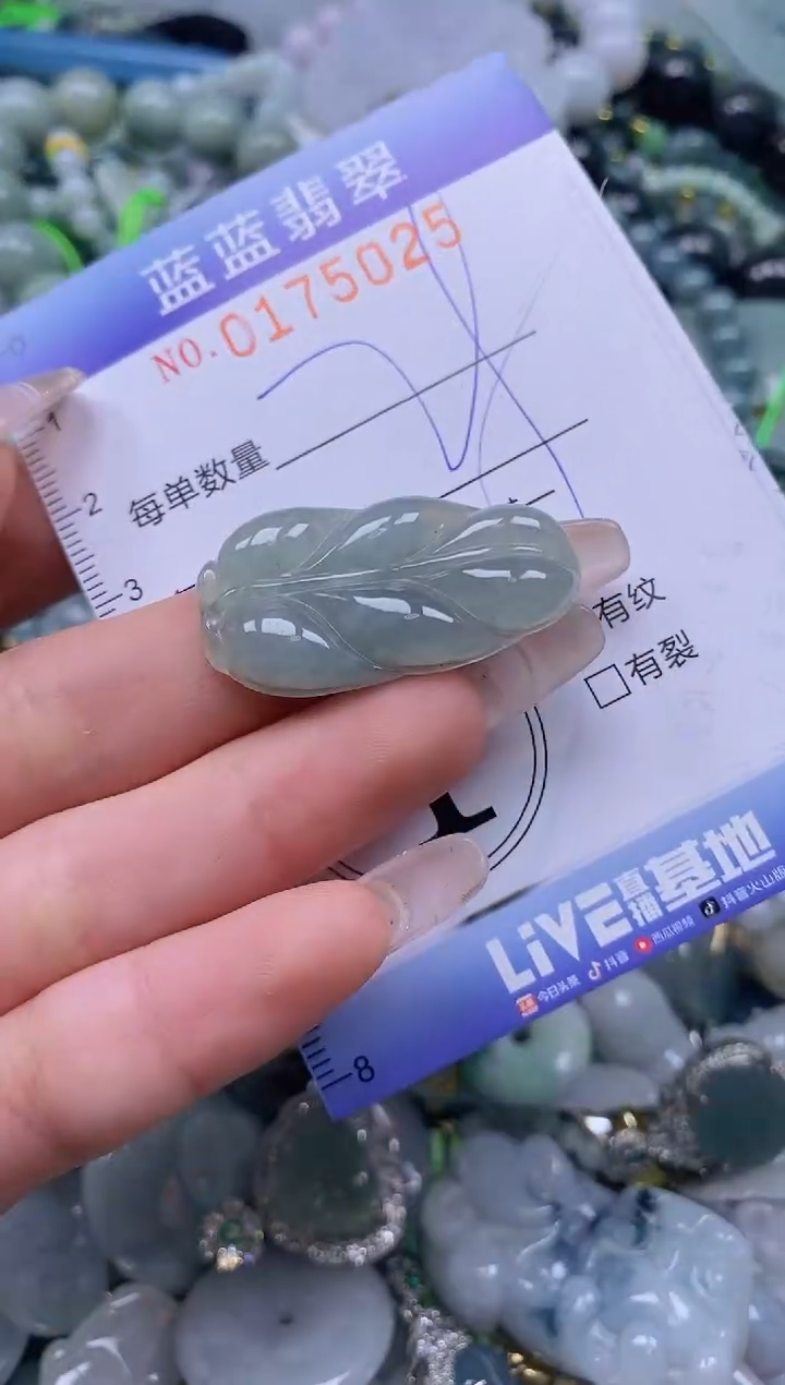 【闪购商品】翡翠颈饰未镶嵌闪购0175025