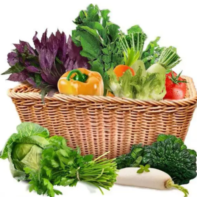 崇明露天菜新鲜清甜蔬菜组合