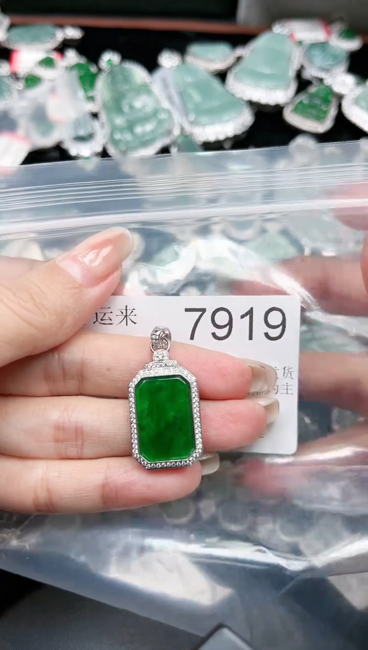 【闪购商品】翡翠颈饰未镶嵌赠皮绳7919